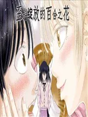 歪斜绽放的百合之花