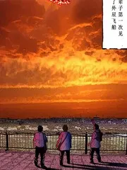来访者